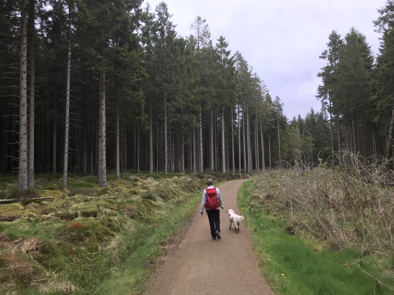 walks at Kielder Water and Forest Park